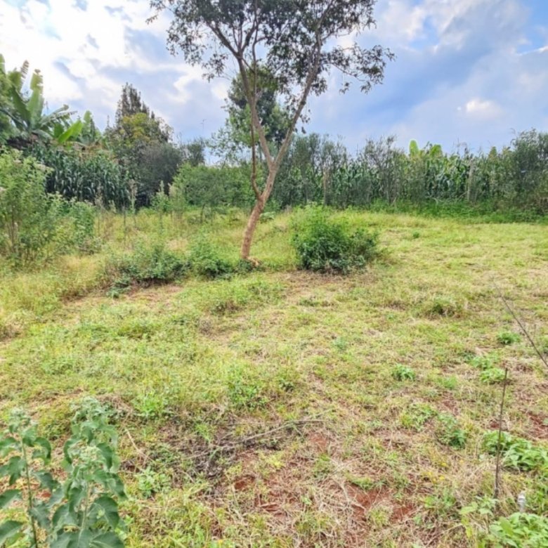 50 by 100 Residential Plot for Sale in Riabai, Kiambu Road