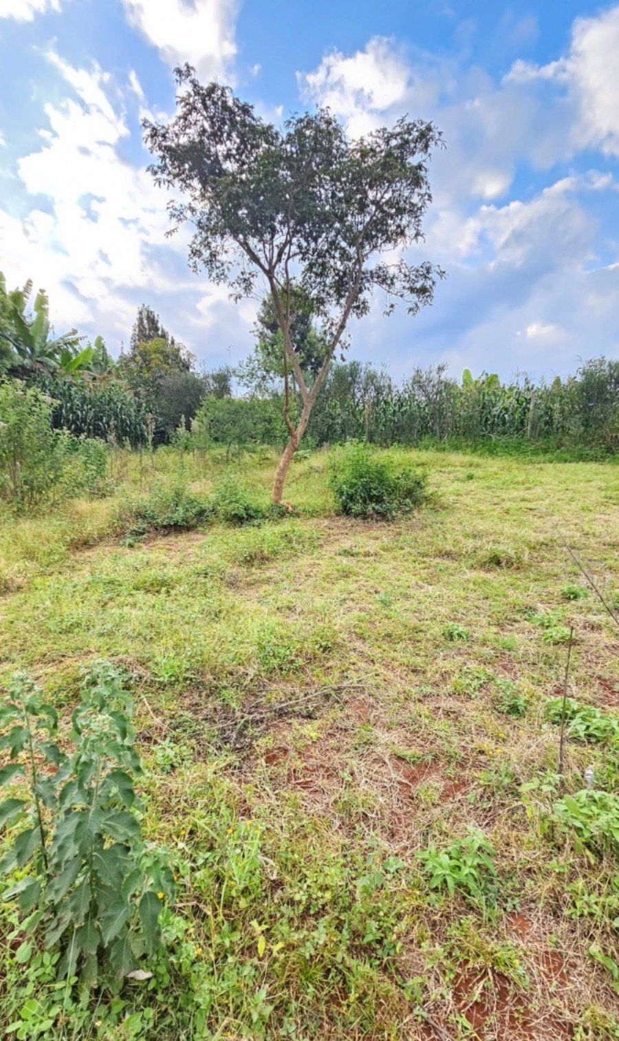 50 by 100 Residential Plot for Sale in Riabai, Kiambu Road