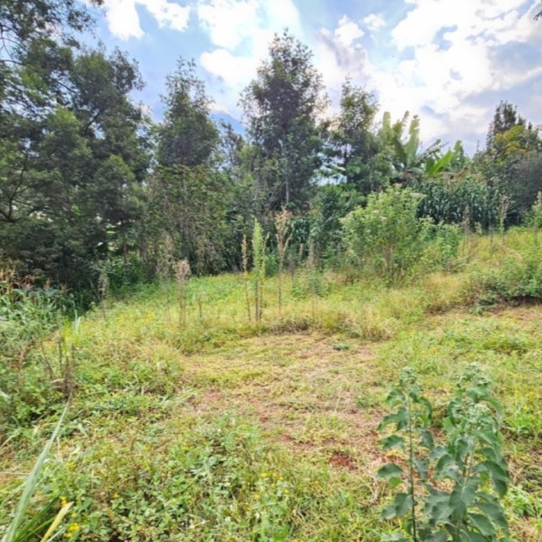50 by 100 Residential Plot for Sale in Riabai, Kiambu Road