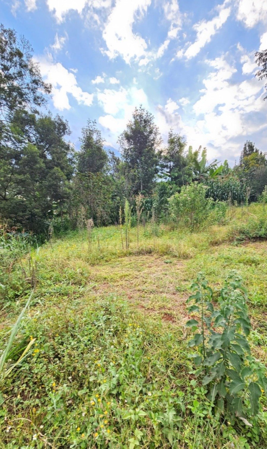 50 by 100 Residential Plot for Sale in Riabai, Kiambu Road