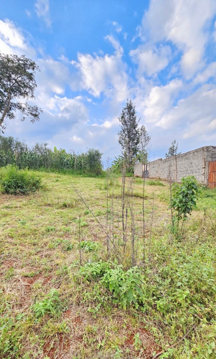 50 by 100 Residential Plot for Sale in Riabai, Kiambu Road