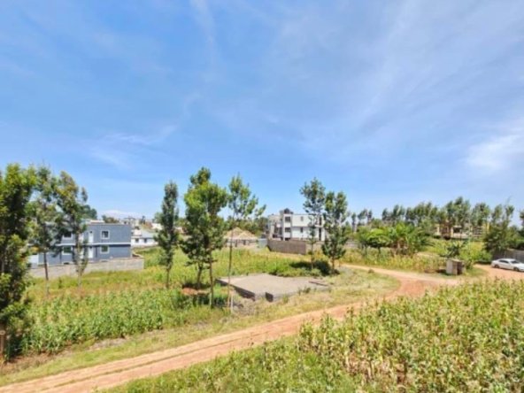 Prime Plots for Sale in Kiora Estate, Kiambu