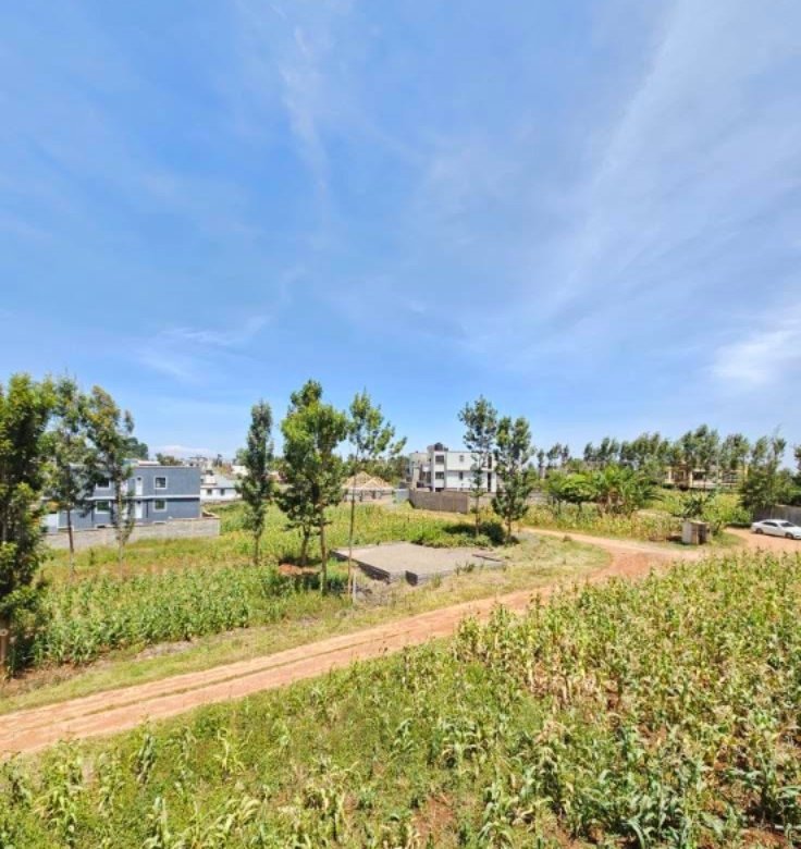 Prime Plots for Sale in Kiora Estate, Kiambu
