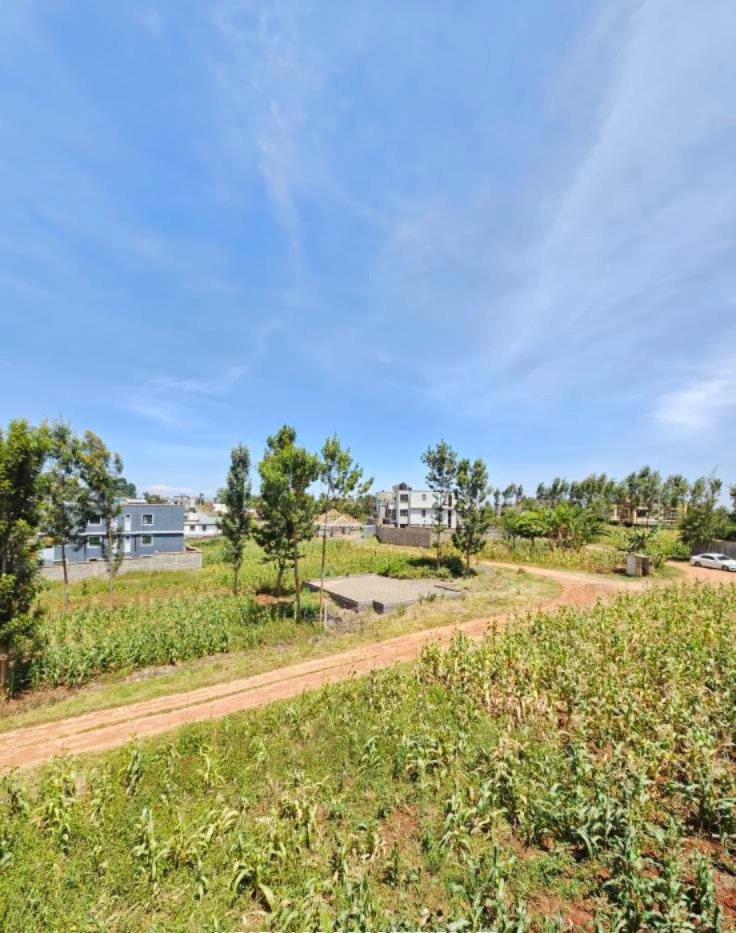 Prime Plots for Sale in Kiora Estate, Kiambu