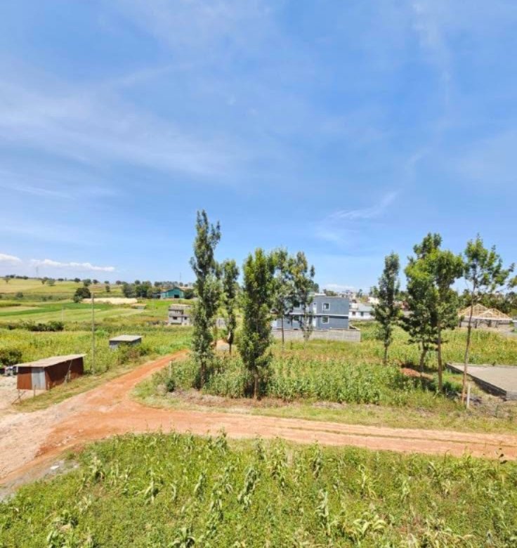 Prime Plots for Sale in Kiora Estate, Kiambu