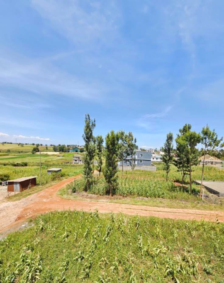 Prime Plots for Sale in Kiora Estate, Kiambu