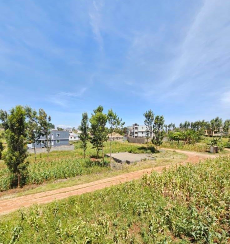 Prime Plots for Sale in Kiora Estate, Kiambu