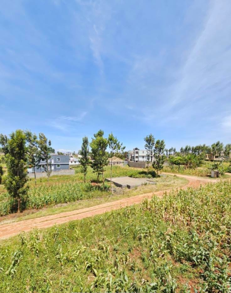 Prime Plots for Sale in Kiora Estate, Kiambu