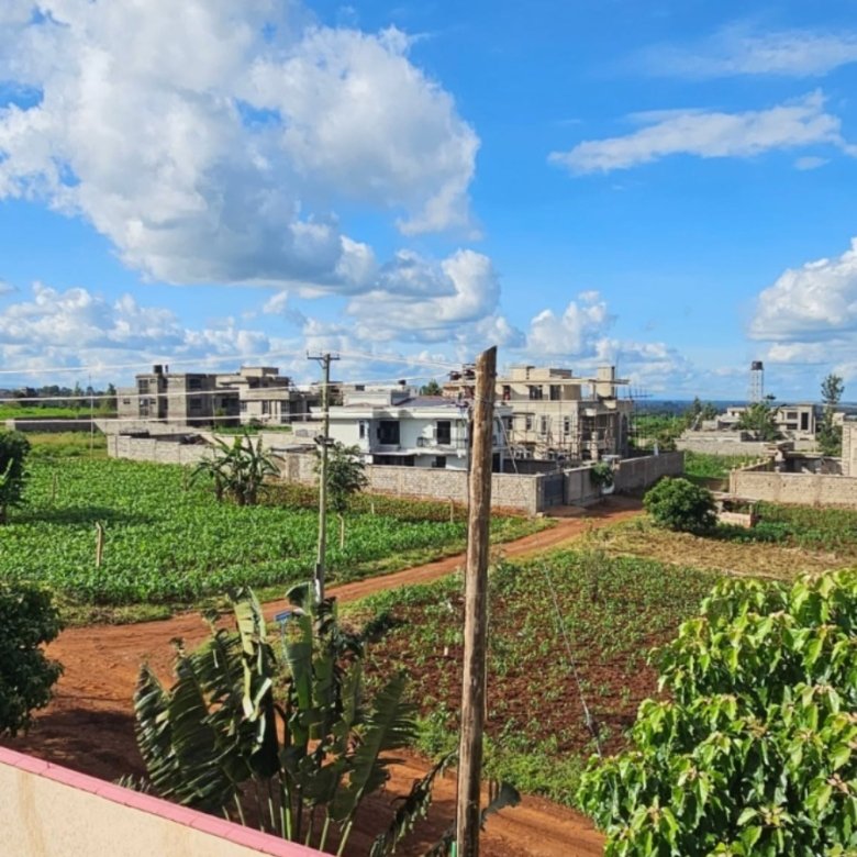 Prime Plots for Sale in Kiora Estate, Kiambu
