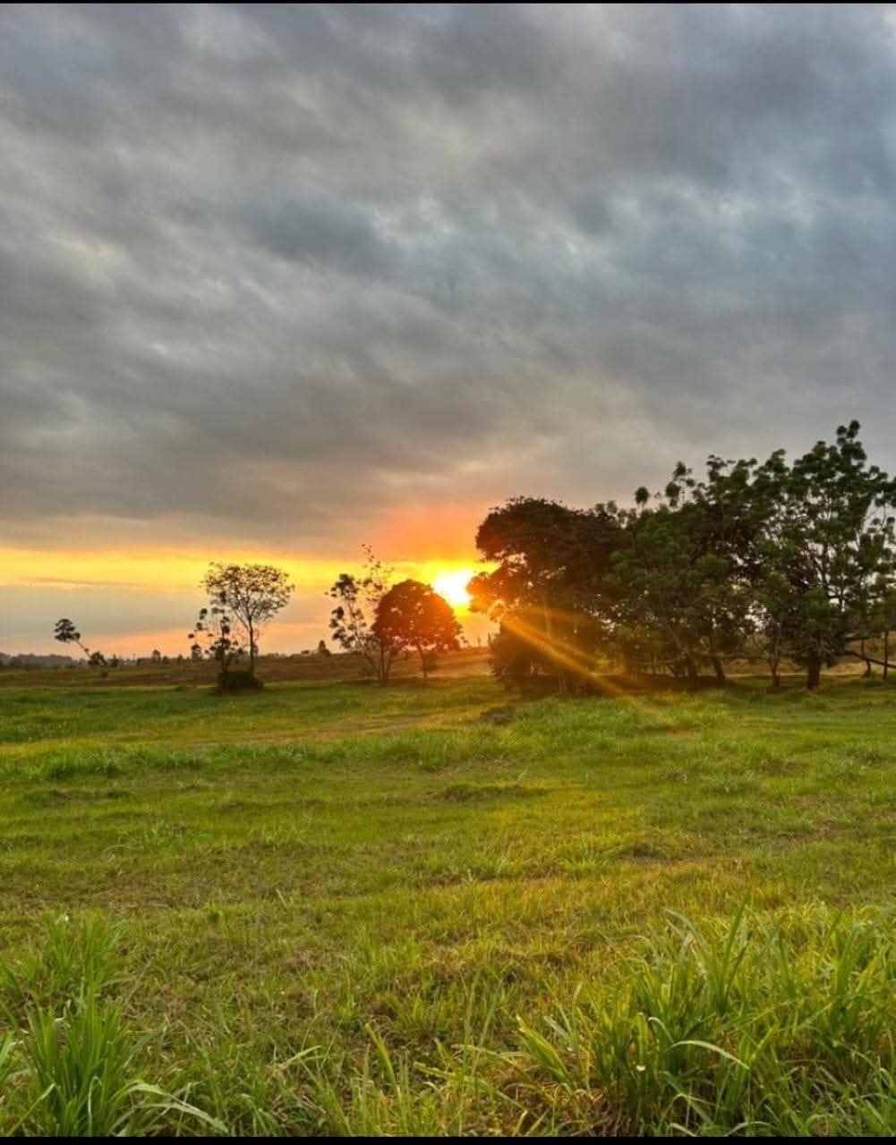 1-8 Acre Plot for Sale in a Gated Estate Along Juja–Gatundu Road