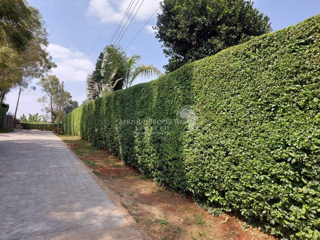 Mugumo Estate Kiambu