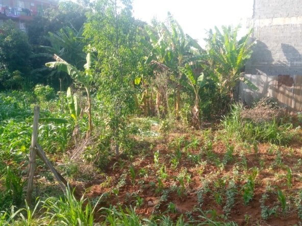 Prime 40 by 80 Plot for Sale in Ruiru Gwa Kairo