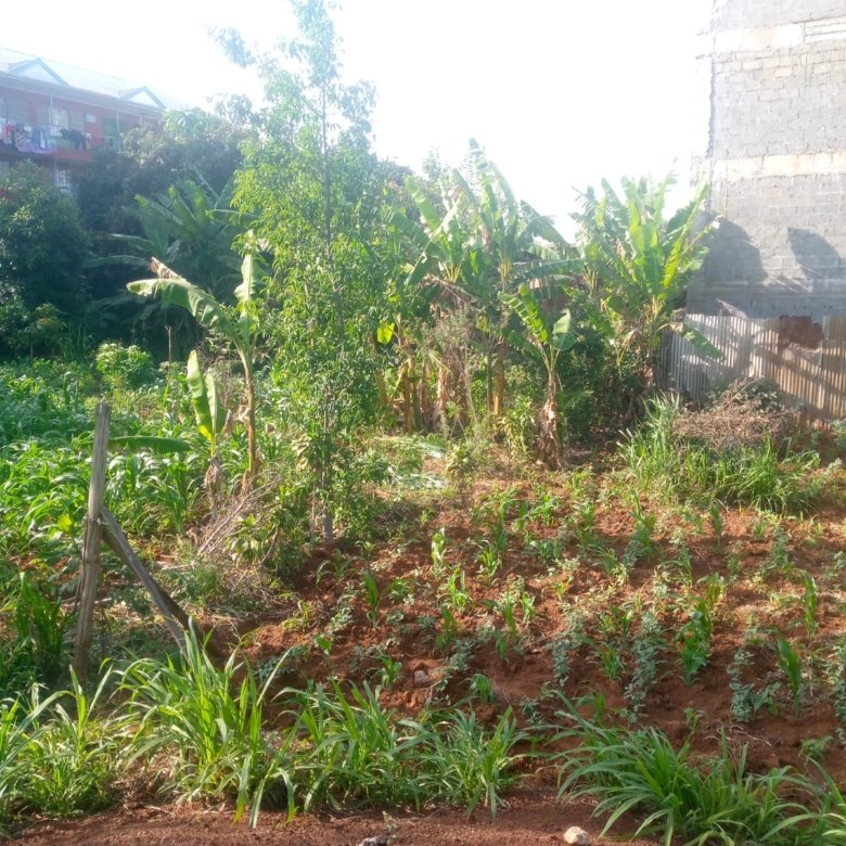 Prime 40 by 80 Plot for Sale in Ruiru Gwa Kairo