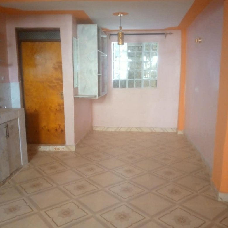 Spacious Bedsitter To Let in Kasarani Hunters
