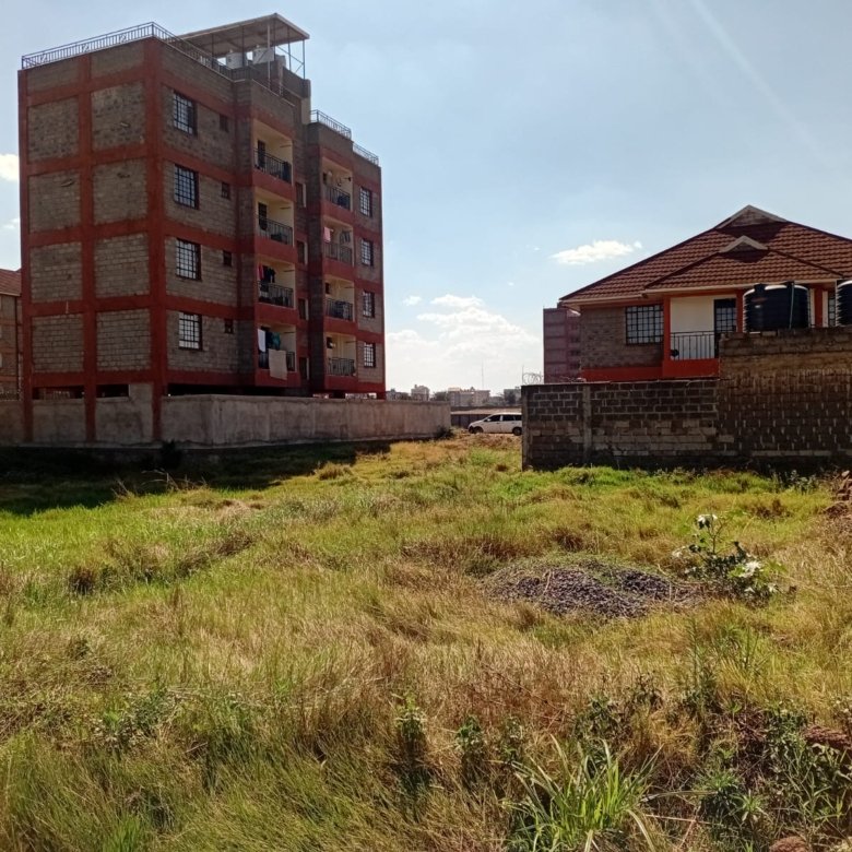 Thika chania 40 by 80 plot