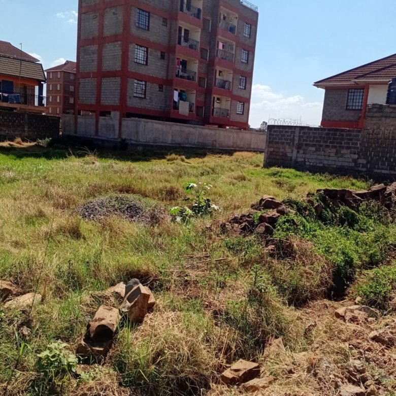 Thika chania 40 by 80 plot