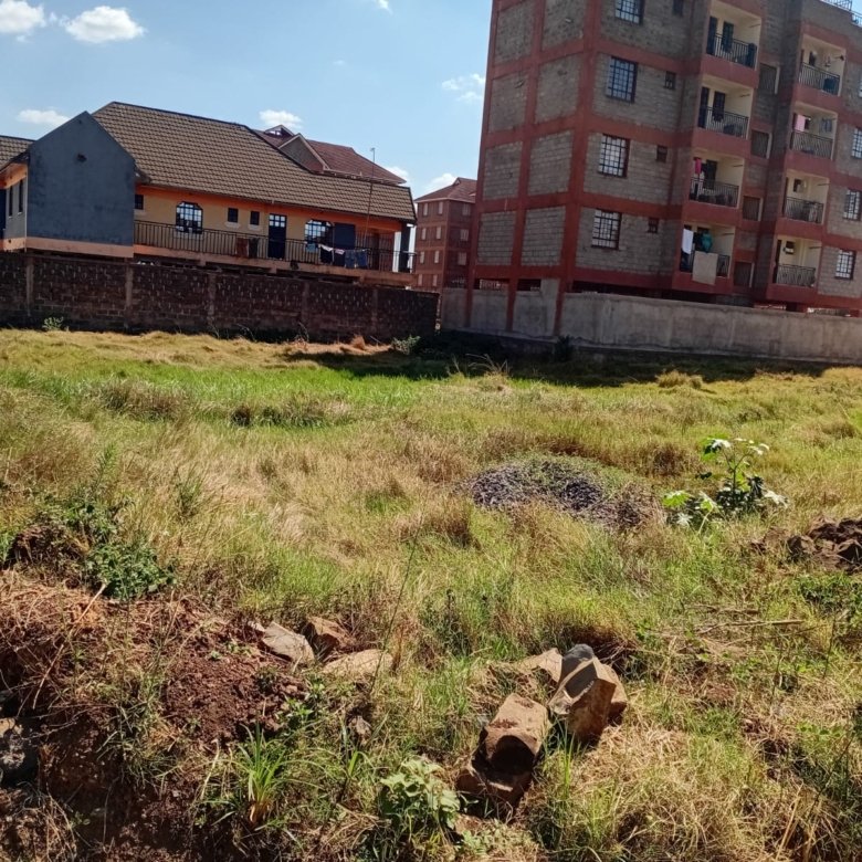 Thika chania 40 by 80 plot