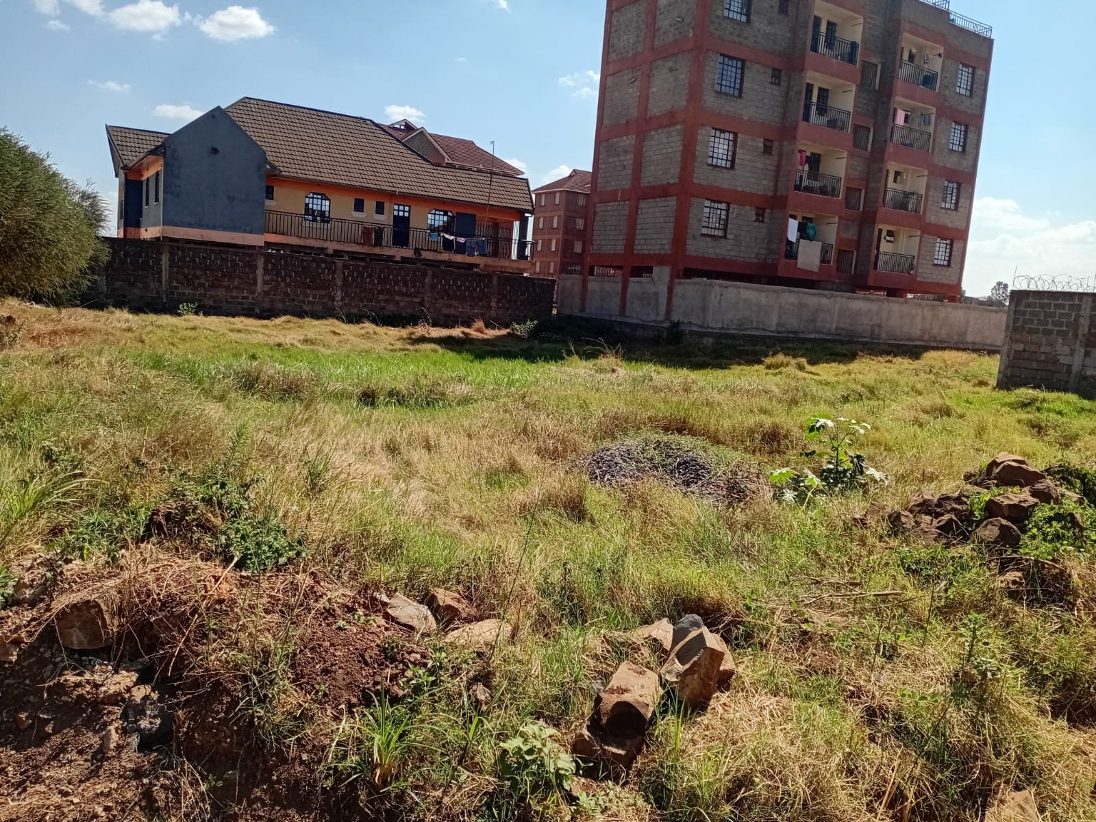 Thika chania 40 by 80 plot