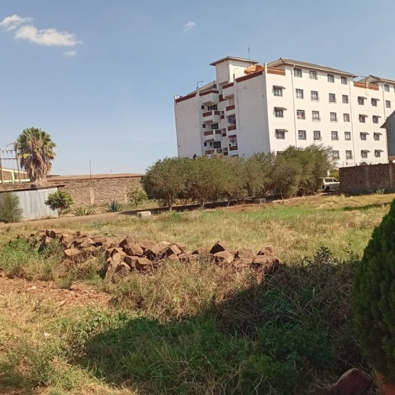 Thika chania 40 by 80 plot