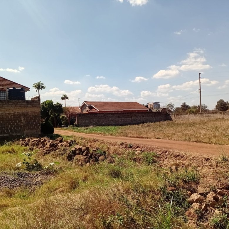Thika chania 40 by 80 plot